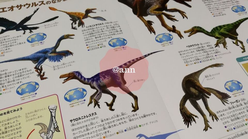 恐竜図鑑のおすすめはこれ！子供のタイプ別に3冊を紹介します
